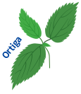 Ilustración ortiga