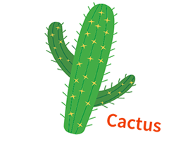 Productos Lizipaina cactus